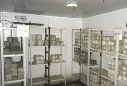 Фото образцов бетона в лаборатории «БетонПрофи»